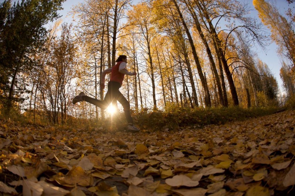 Hiking Fall Sandpoint